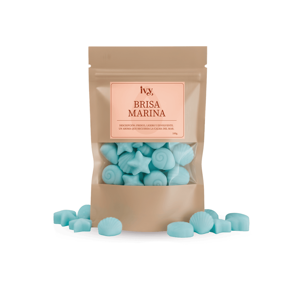 Brisa Marina — Wax Melt 100 g
